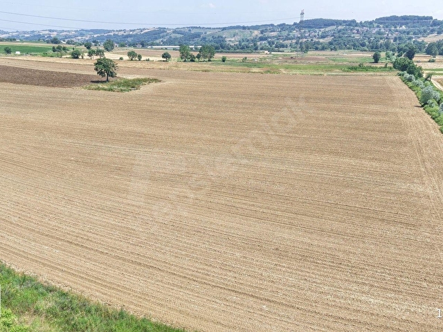 KANDIRADA 52 DÖNÜM ASFALTA CEPHE TARIM VE HAYVANSAL PROJE ALANI - Görsel 7