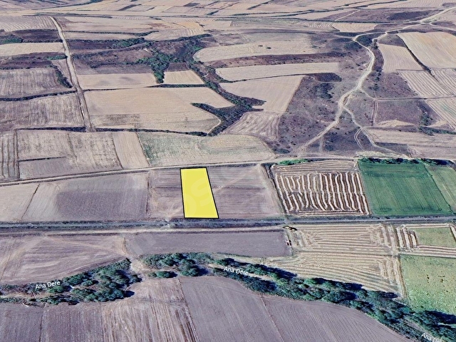 EDİRNE,UZUNKÖPRÜ, ASLIHANDA 3.299m² SATILIK TARLA - Görsel 9