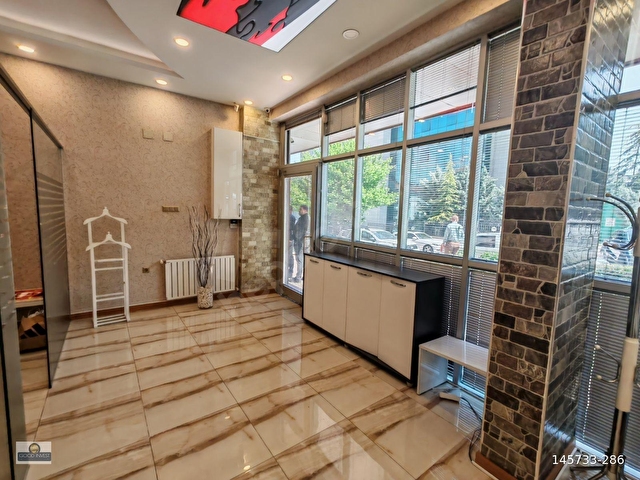 Ankara Çankaya Balgat Eşyalı Bahçeli Cadde Dükkan - Görsel 4
