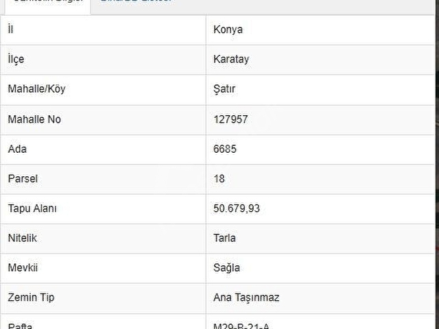 YUVAMSOFT GAYRIMENKULDEN ŞATIRDA TEK TAPULU TARLA - Görsel 3