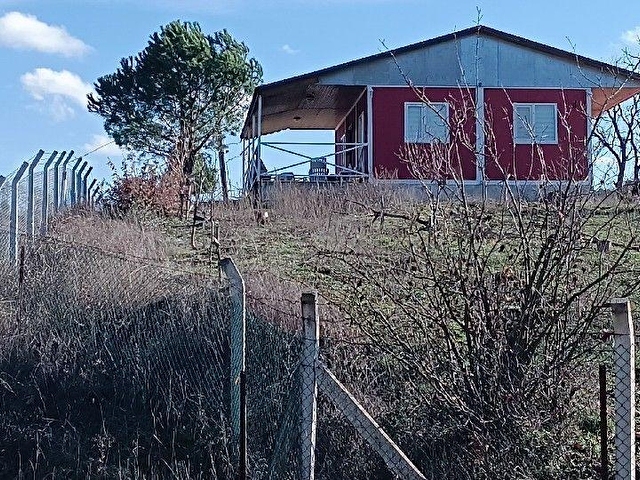 Çanakkale,Çan,Terzialan,Gölet yoluna cepheli satılık cevizlik - Görsel 10