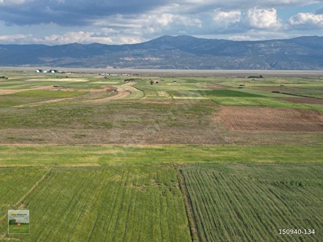 DAZKIRI YÜREĞİLDE 2.800 M2 TEK TAPU SATILIK TARLA - Görsel 5