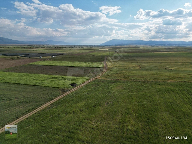 DAZKIRI YÜREĞİLDE 2.800 M2 TEK TAPU SATILIK TARLA - Görsel 18