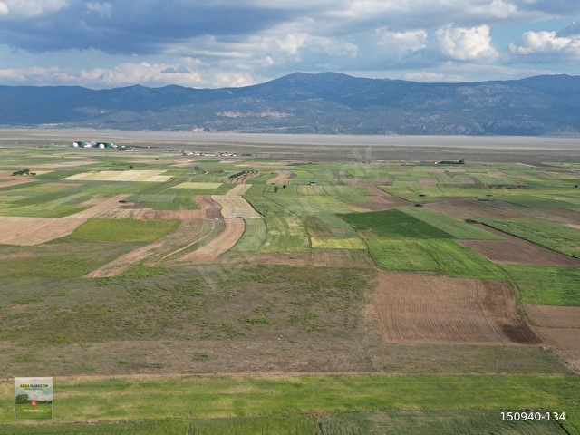 DAZKIRI YÜREĞİLDE 2.800 M2 TEK TAPU SATILIK TARLA - Görsel 7