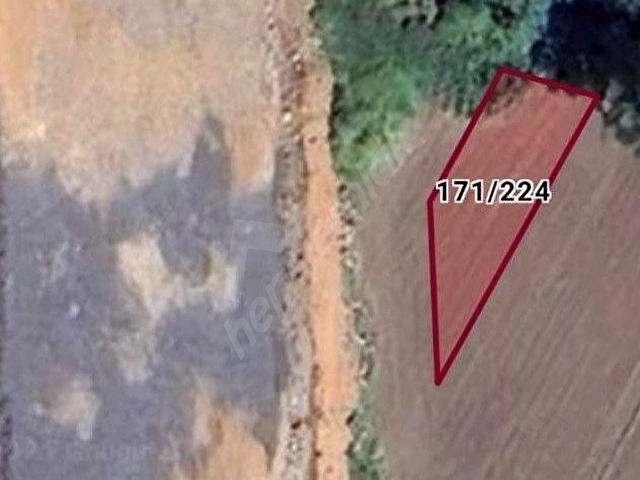 BURSA KILIÇ TAN MUDANYA ÇAYÖNÜ DE 316m2 SATILIK HOBİ BAHÇESİ - Görsel 5