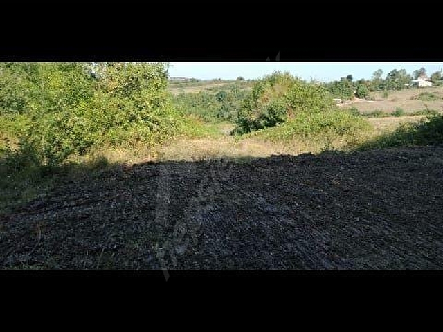 Karahanlıdan Kandıra Üğümcede Köye Yakın 878 m² Temiz Satılık