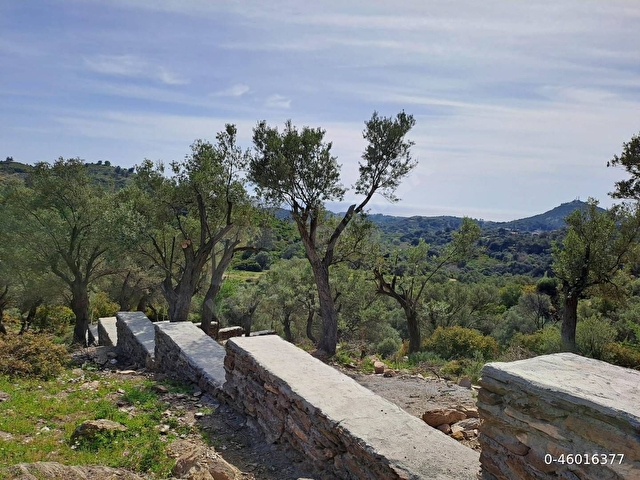 1474m² DENİZ GÖREN ZEYTİNLİK - ÖZDERE - Görsel 19