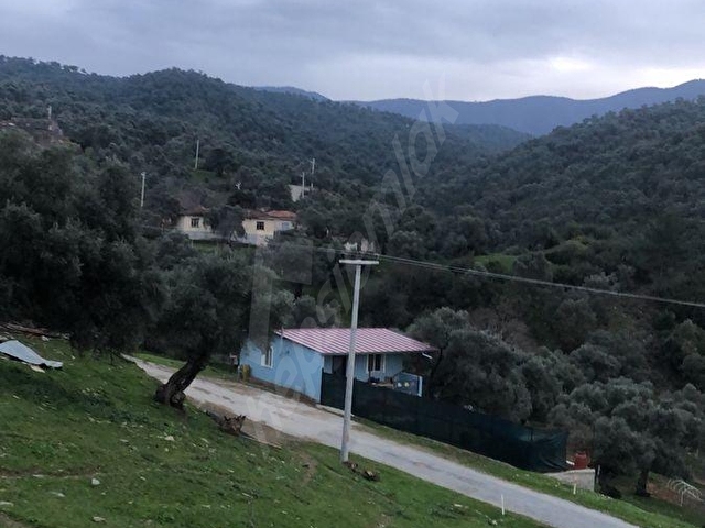 İzmir Bayındır satılık köyiçinde bahçe - Görsel 8