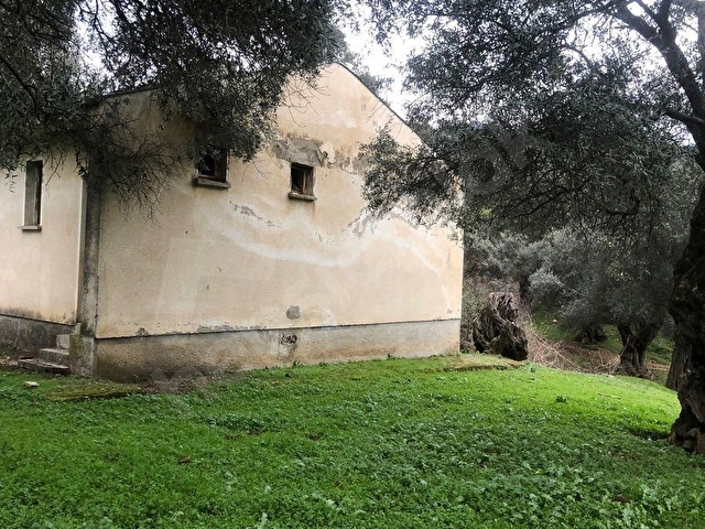 İzmir Bayındır satılık köyiçinde bahçe - Görsel 2
