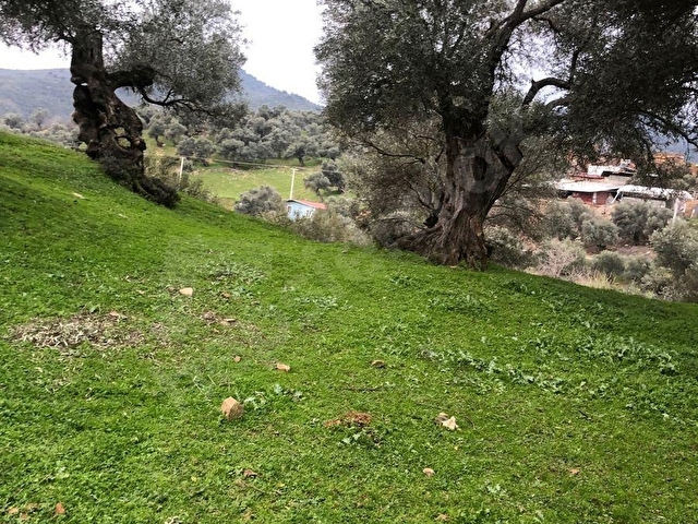 İzmir Bayındır satılık köyiçinde bahçe - Görsel 6