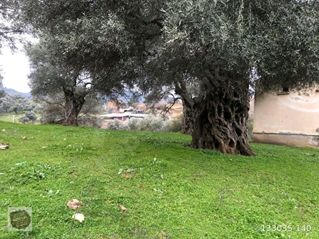 İzmir Bayındır satılık köyiçinde bahçe - Görsel 7