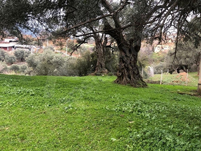 İzmir Bayındır satılık köyiçinde bahçe - Görsel 9