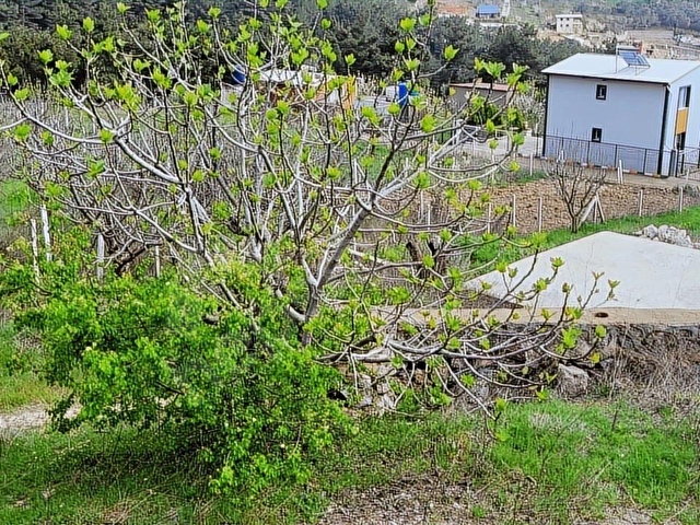 Bornova Yakaköyde Satılık 511 m2 Tarla - Görsel 14