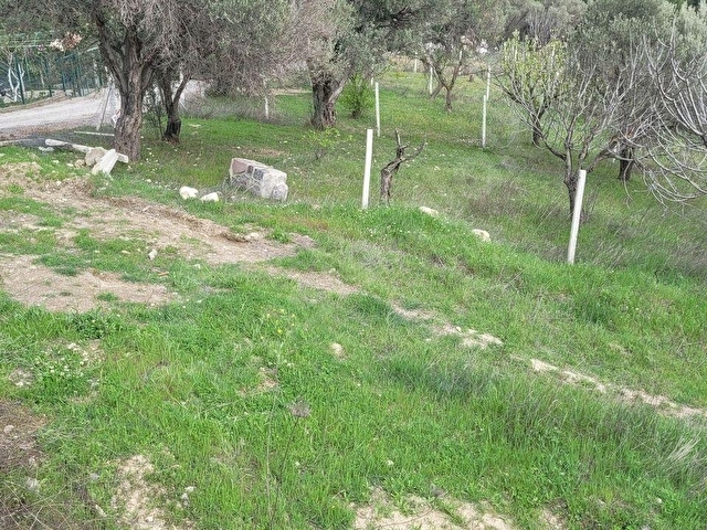 Bornova Yakaköyde Satılık 511 m2 Tarla - Görsel 18