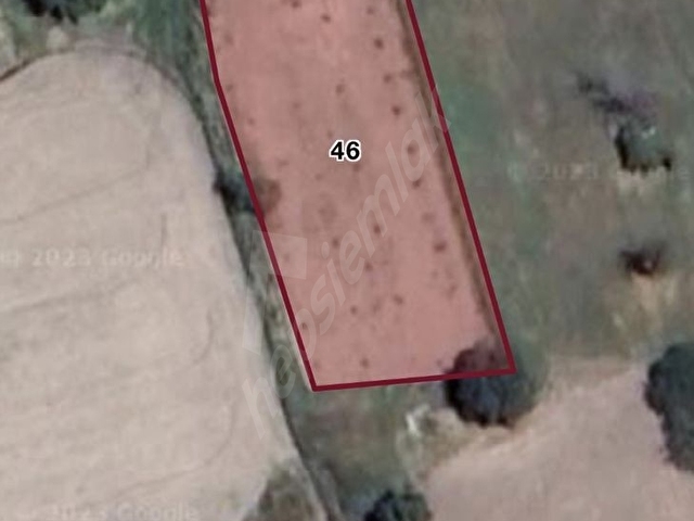 BAKİ EMLAKTAN BAHÇECİK’TE 1540 M2 BAĞ - Görsel 3