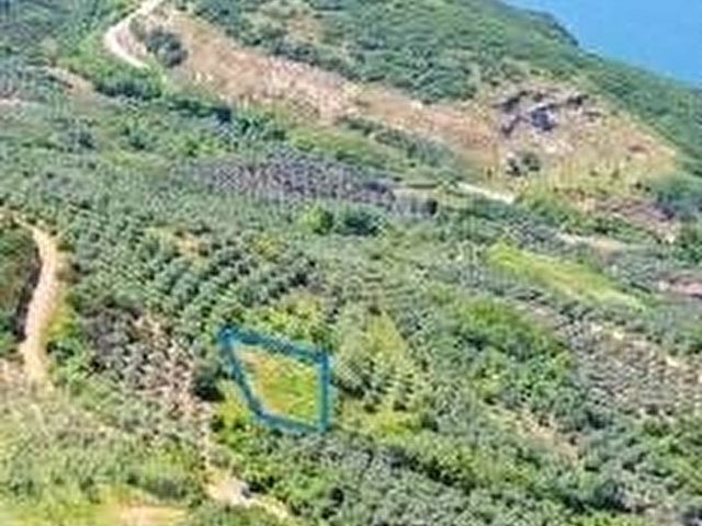 SAHİBİNDEN ACELE SATILIK ARAZİ - Görsel 5