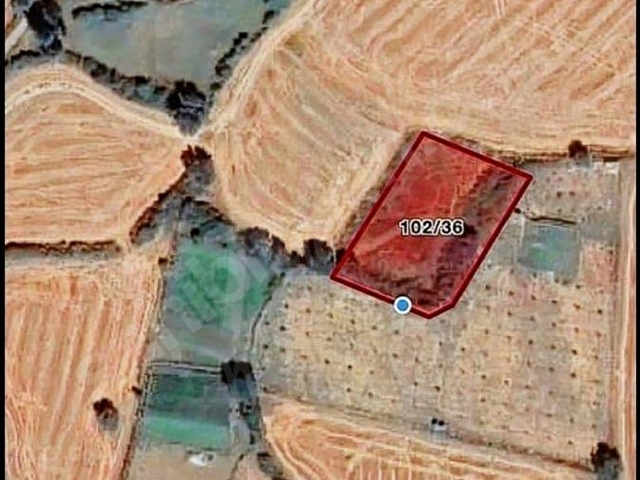 Boğaz ve Köprü Manzaralı, İmar Sınırında Satılık Tarla - Görsel 23