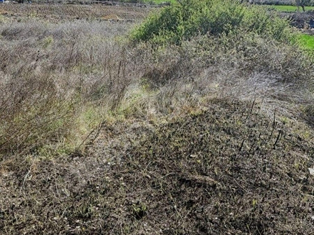Boğaz ve Köprü Manzaralı, İmar Sınırında Satılık Tarla - Görsel 11