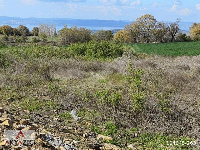 Boğaz ve Köprü Manzaralı, İmar Sınırında Satılık Tarla - Görsel 5
