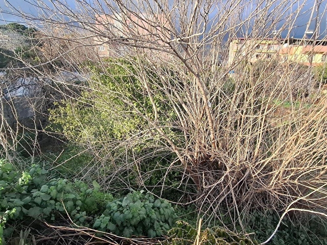 FİYATI DÜŞÜRDÜK Ünlü Emlaktan beş kat konut imarlı 447 m2 arsa Aydın Kuyucak horsunlu beldesinde - Görsel 15