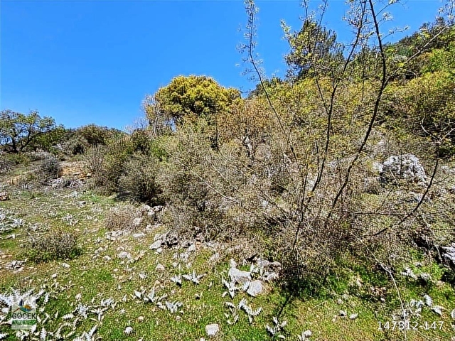 MUĞLA FETHİYE GÖKÇEOVACIKTE SATILIK BAHÇE - Görsel 3