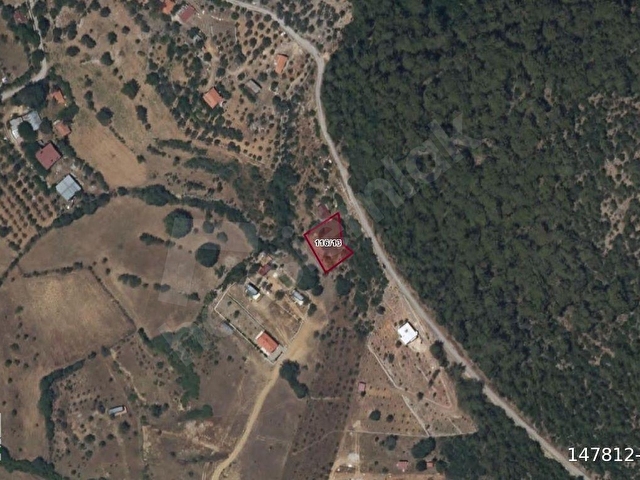 MUĞLA FETHİYE GÖKÇEOVACIKTE SATILIK BAHÇE