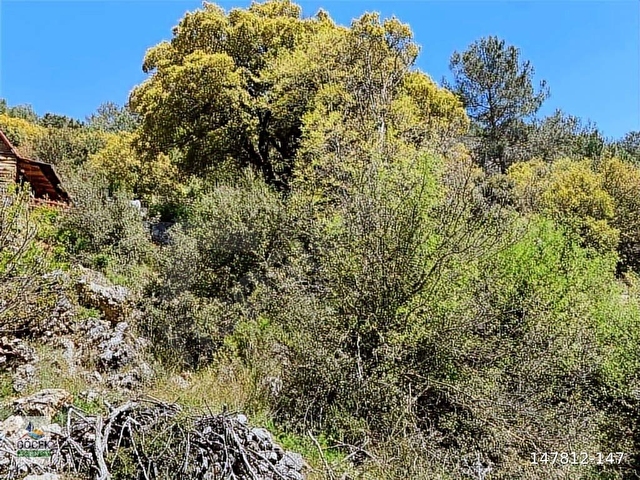 MUĞLA FETHİYE GÖKÇEOVACIKTE SATILIK BAHÇE - Görsel 7