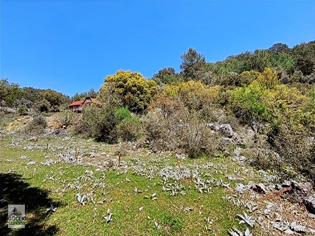 MUĞLA FETHİYE GÖKÇEOVACIKTE SATILIK BAHÇE - Görsel 8