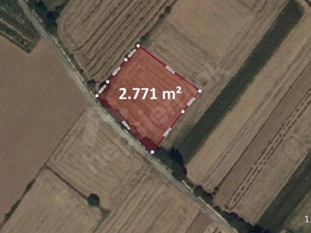 Kütahya Merkez Siner İmara Yakın Kullanım Yolu Mevcut Kanal Kütahya Projesine 300 Metre FIRSAT Tarla - Görsel 4