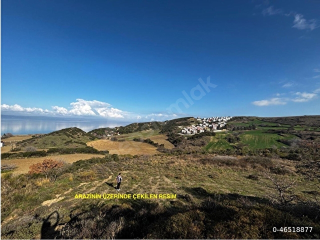Çanakkale Gelibolu denize 300m 4.375 m² arsa, DAİRE Takaslı - Görsel 7