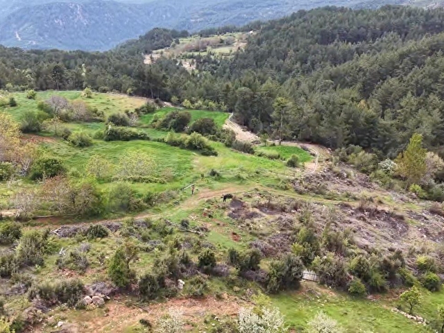 Özlüce de Köy İçi İmarlı Fırsat Arazi, Karazeybek Gayrimenkülden - Görsel 5