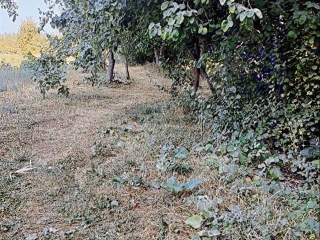 Tokat Bizim emlaktan yatırımlık satılık arsa - Görsel 12