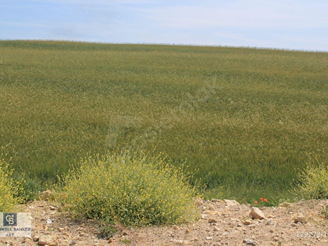 SARAY’DA SANAYİ İMARLI 115 m2 HİSSELİ SATILIK ARSA