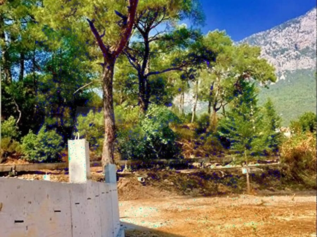 Kemer - Arslanbucak da %20 emsal orman manzara Arsa - Görsel 13