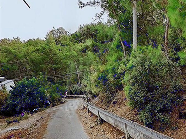 Kemer - Arslanbucak da %20 emsal orman manzara Arsa - Görsel 9