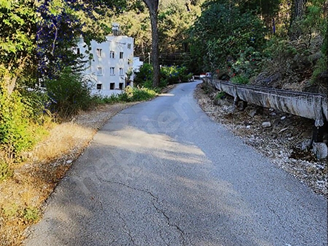 Kemer - Arslanbucak da %20 emsal orman manzara Arsa - Görsel 19