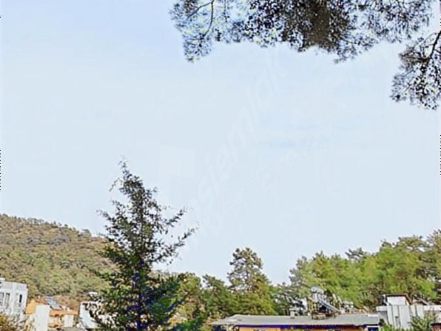 Kemer - Arslanbucak da %20 emsal orman manzara Arsa - Görsel 2