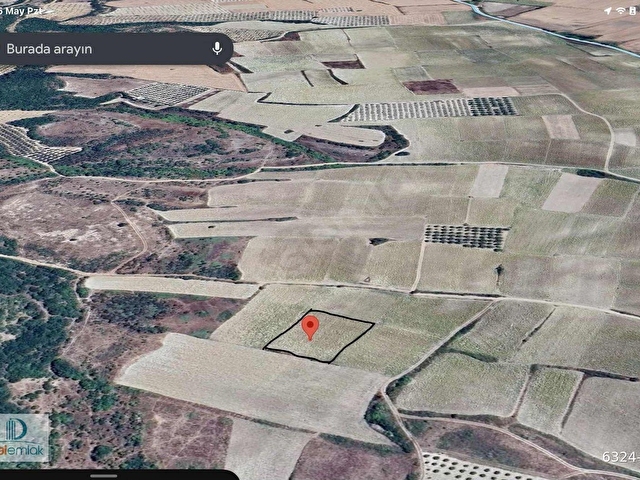 Karacabey Çamlıcada Satılık 2.800 m2 Yatırmlık Kıymetli Arazi. - Görsel 5