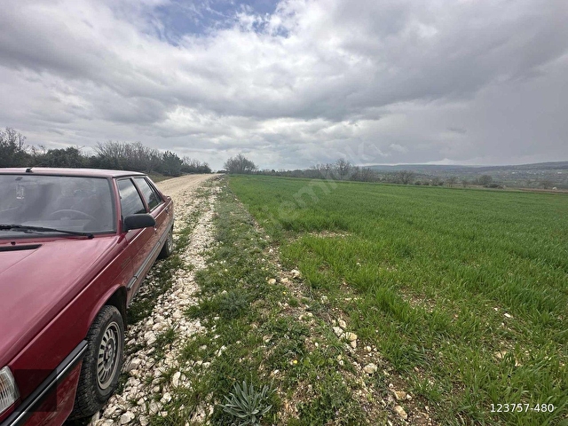 Bilecik Merkez Kınıkta 7.350 m² Müstakil Tapulu Çiftlik Arazisi - Görsel 17