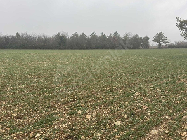 Bilecik Merkez Kınıkta 7.350 m² Müstakil Tapulu Çiftlik Arazisi - Görsel 27
