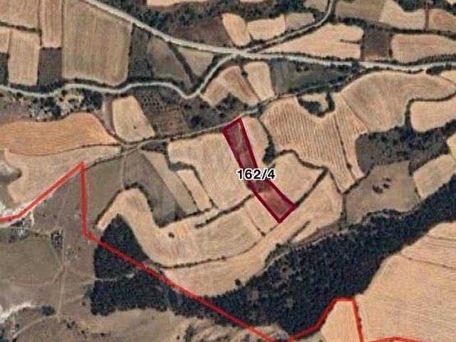 KASTAMONU SIRASÖĞÜTLER 4727 M2 ARAZİ HACIBEY KAVŞAĞA 5 KM - Görsel 10