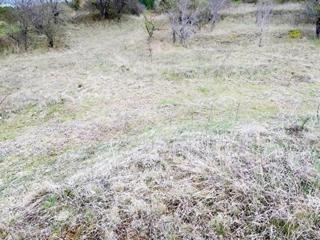 KASTAMONU SIRASÖĞÜTLER 4727 M2 ARAZİ HACIBEY KAVŞAĞA 5 KM - Görsel 2