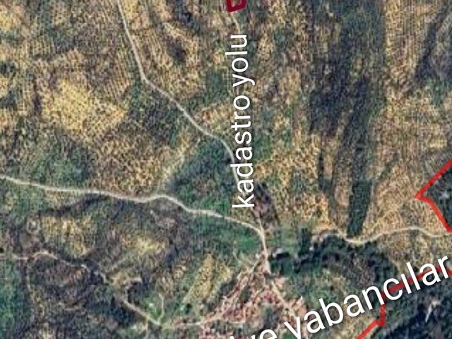 Balıkesir Burhaniye yabancılar geniş m2 satılık bakımlı zeytinlik - Görsel 28