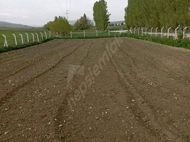 DOĞA CİTYDEN SATILIK SÖĞÜT OLUKLUDA 1.399 M2 ASFALT CEPHE TARLA - Görsel 3