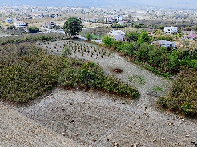 Sakarya Karapürçek Yatırımlık ve Yaşam İçin Eşsiz İmarlı Arsalar - Görsel 22