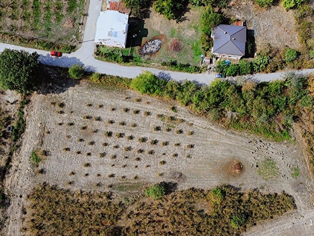 Sakarya Karapürçek Yatırımlık ve Yaşam İçin Eşsiz İmarlı Arsalar - Görsel 30