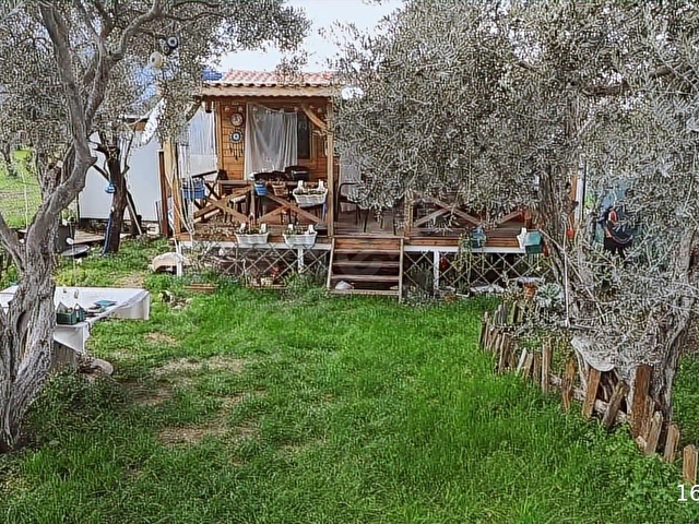 Fırsat ! Örnekköyde Asfalt Yola Cepheli 305 m² Bahçede Ahşap Ev - Görsel 27