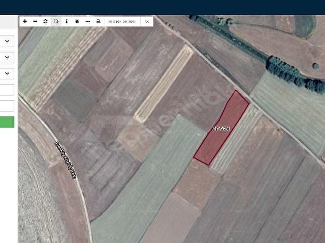 ziraat bankasi ndan erenkoy mahallesi nde tarlanin 2 3 hissesi