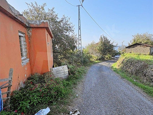 GİRESUN GÖRELE KARABURUNDA EV VE FINDIK BAHÇESİ - Görsel 20