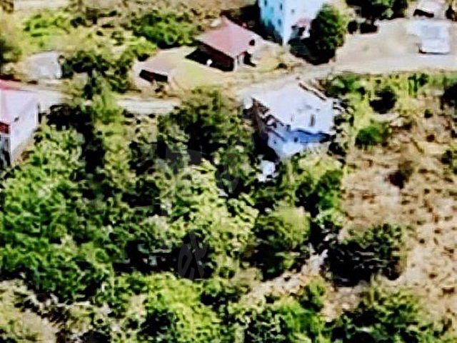 GİRESUN GÖRELE KARABURUNDA EV VE FINDIK BAHÇESİ - Görsel 8